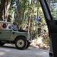 You’d be this happy too, if you were driving a Land Rover Defender through the redwoods like these people were!